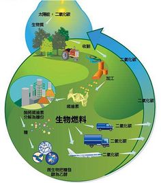 国家发改委：关于印发《完善生物质发电项目建设运行 的实施方案》的通知